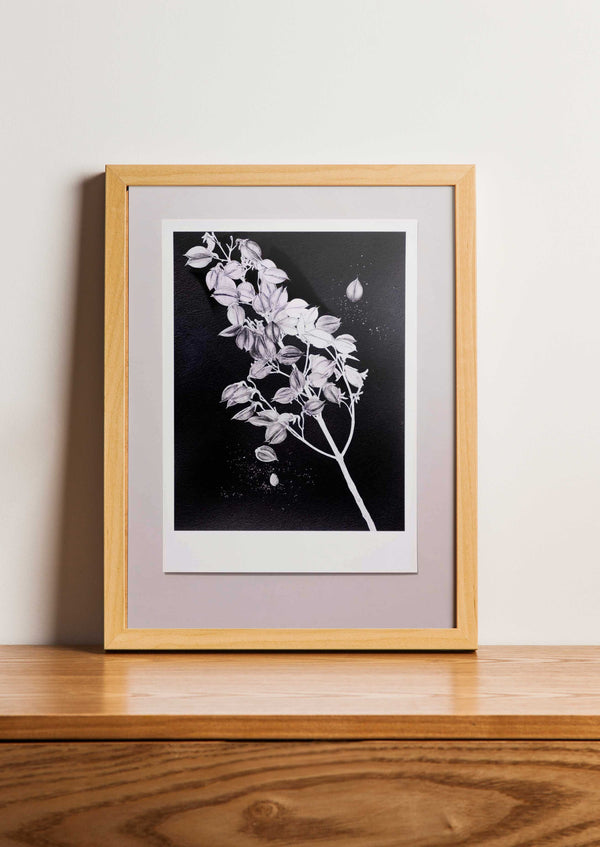 Fine Art Print Anna Paulowna | Paulownia tomentosa