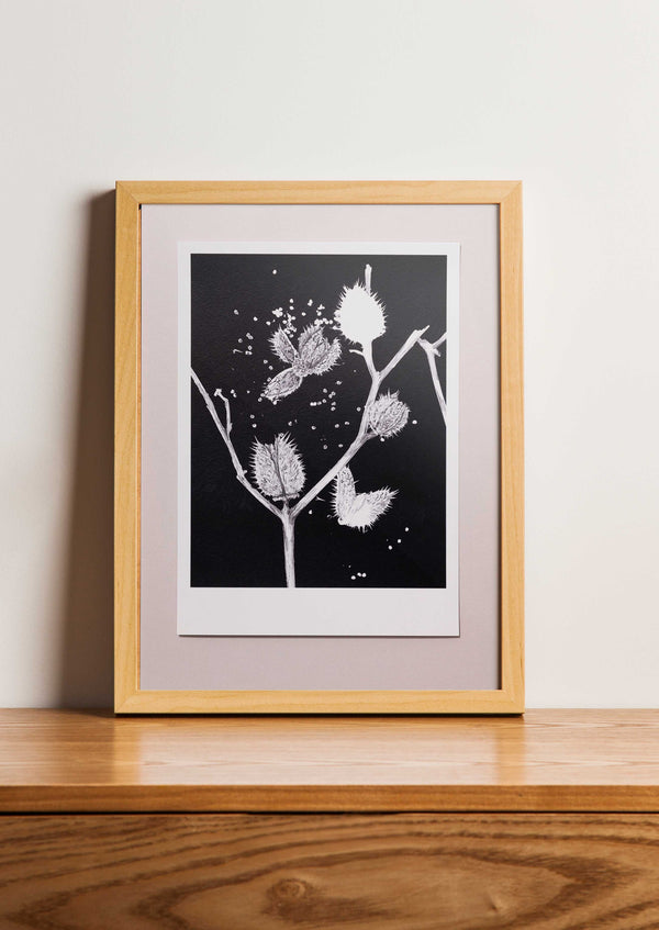 Fine Art Print Doornappel | Datura