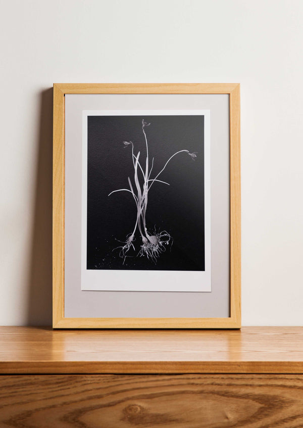 Fine Art Print Lelietje van dalen | Convallaria majalis