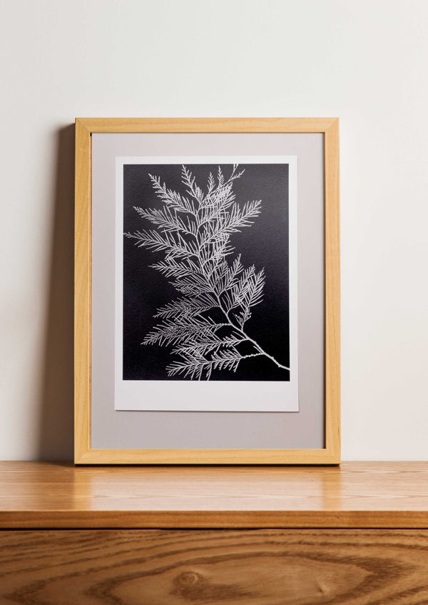 Fine Art Print Levensboom | Thuja
