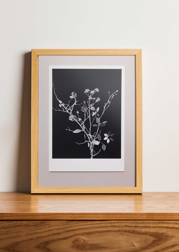 Fine Art Print Roos| Rosaceae