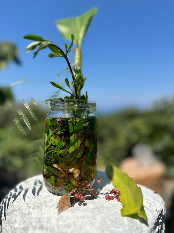 Bloesem | Tinctuur Chakra Balans