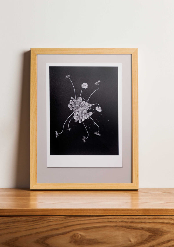 Fine Art Print Madeliefje | Bellis